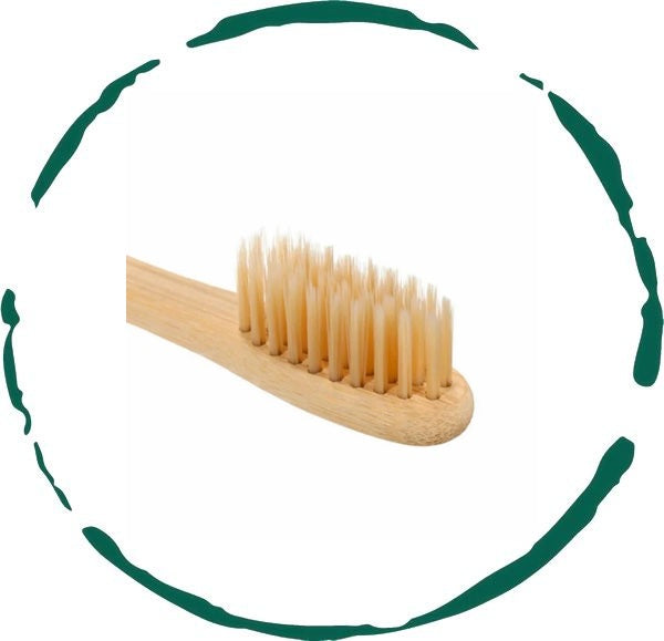 EcoSoft Bamboo Toothbrush